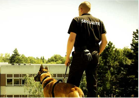 Security agent with a trained dog patrolling an industrial site at dusk, their faces are not visible.